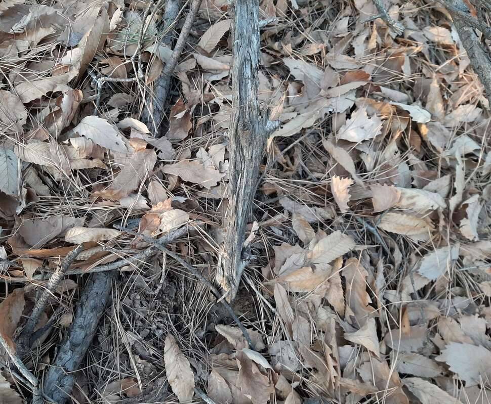밑천 까 발립니다목부작 제작과정 (커뮤니티 - 자유게시판)