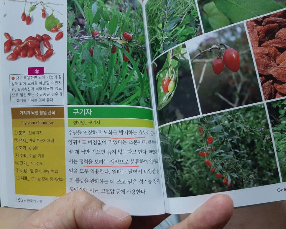 열공의 폐단ㅡㅡ (커뮤니티 - 자유게시판)