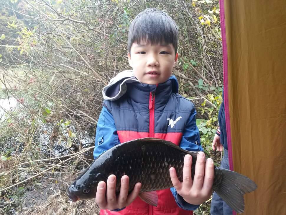 캠핑낚시 (커뮤니티 - 자유게시판)