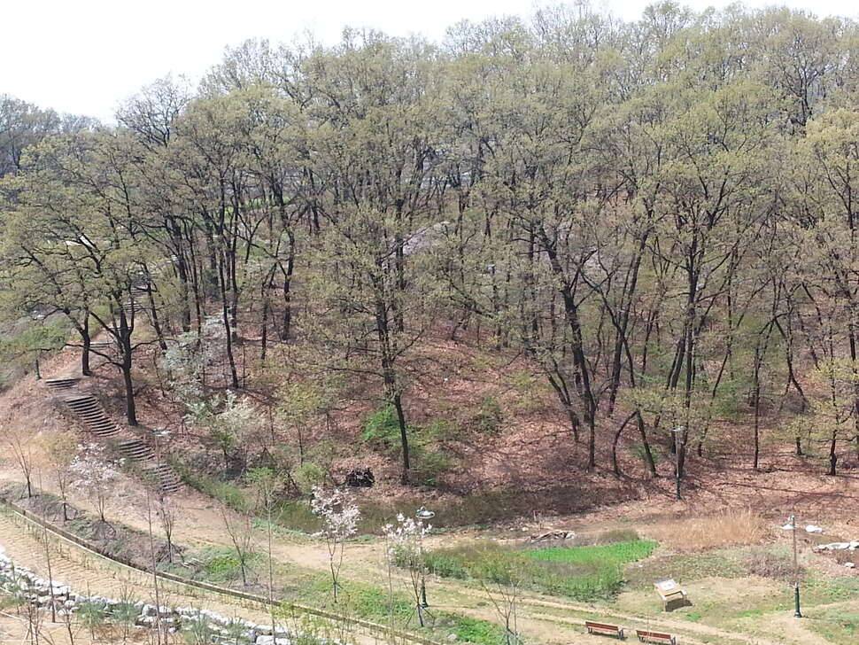 이사해유 (커뮤니티 - 자유게시판)