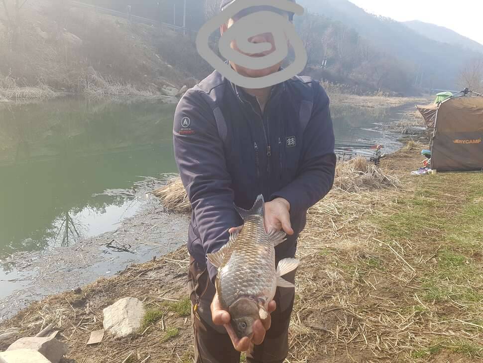 굿이라도 해야하나 (커뮤니티 - 자유게시판)