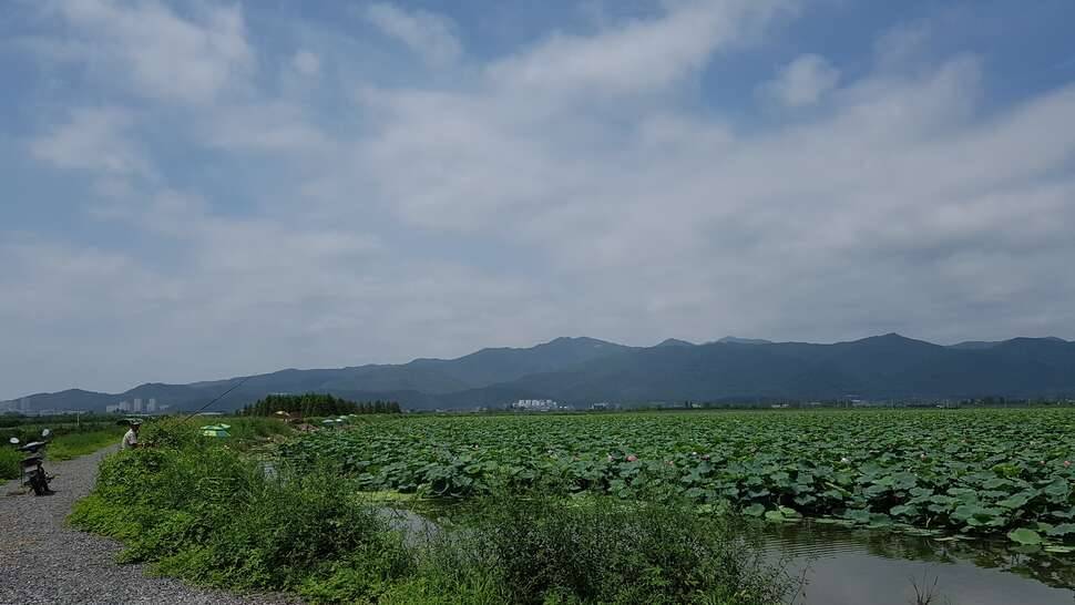 뜨거운 전사들 (커뮤니티 - 자유게시판)
