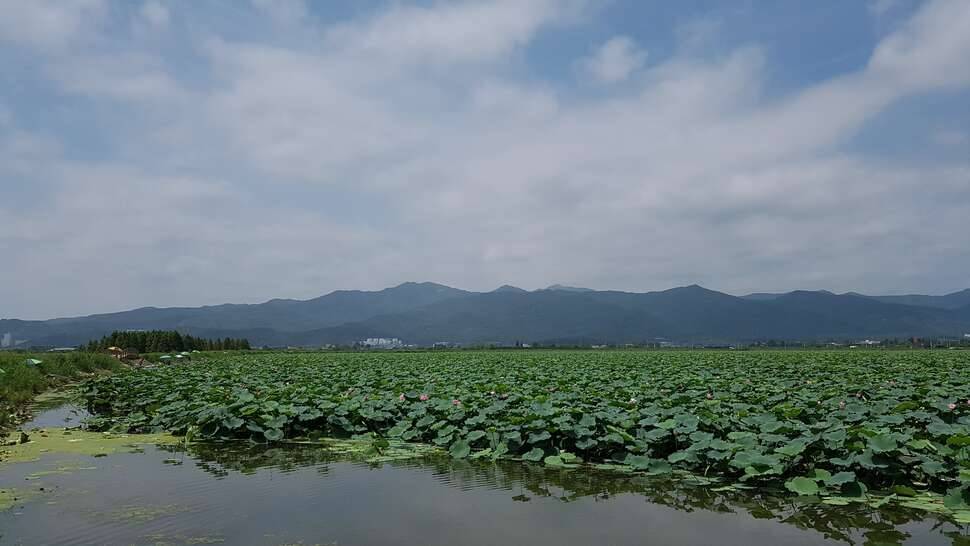 뜨거운 전사들 (커뮤니티 - 자유게시판)