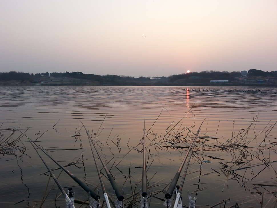 간만에 낚시를 쫌 해봤어요 (커뮤니티 - 자유게시판)