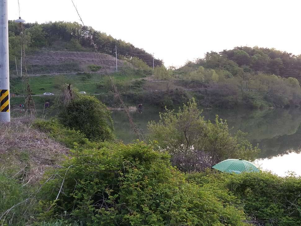 산은 산이요 물은 물이라 (커뮤니티 - 자유게시판)