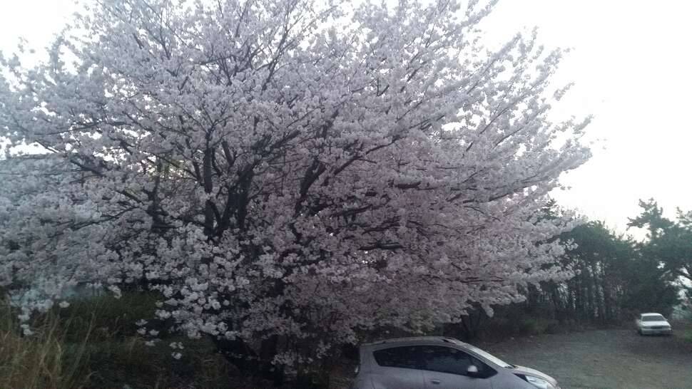 병입니다 (커뮤니티 - 자유게시판)
