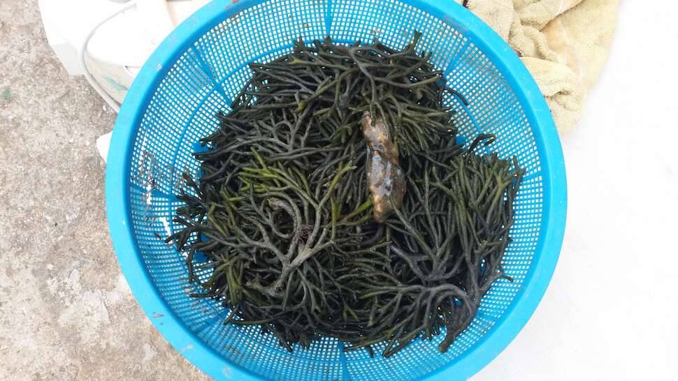 민물과 바다를 넘나드는 휴가4일차 (커뮤니티 - 자유게시판)