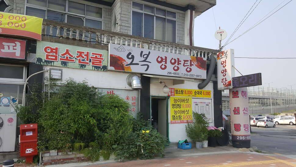 말복 (커뮤니티 - 자유게시판)
