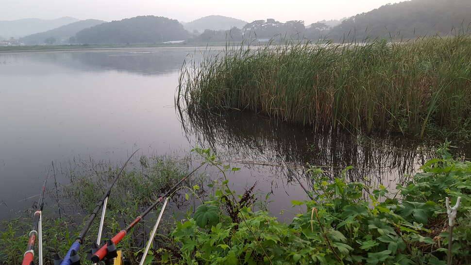 안면도 첫 밤낚시했습니다 (커뮤니티 - 자유게시판)