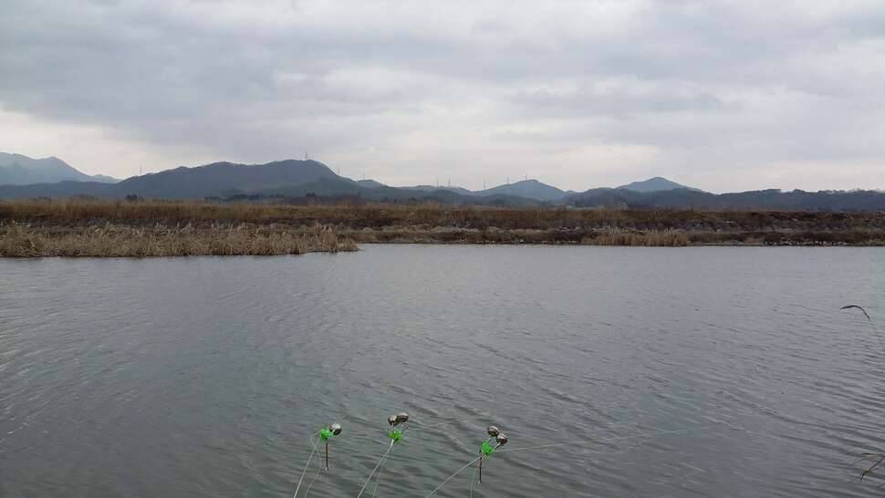 대낚시는 이제 잠시 접고 (커뮤니티 - 자유게시판)