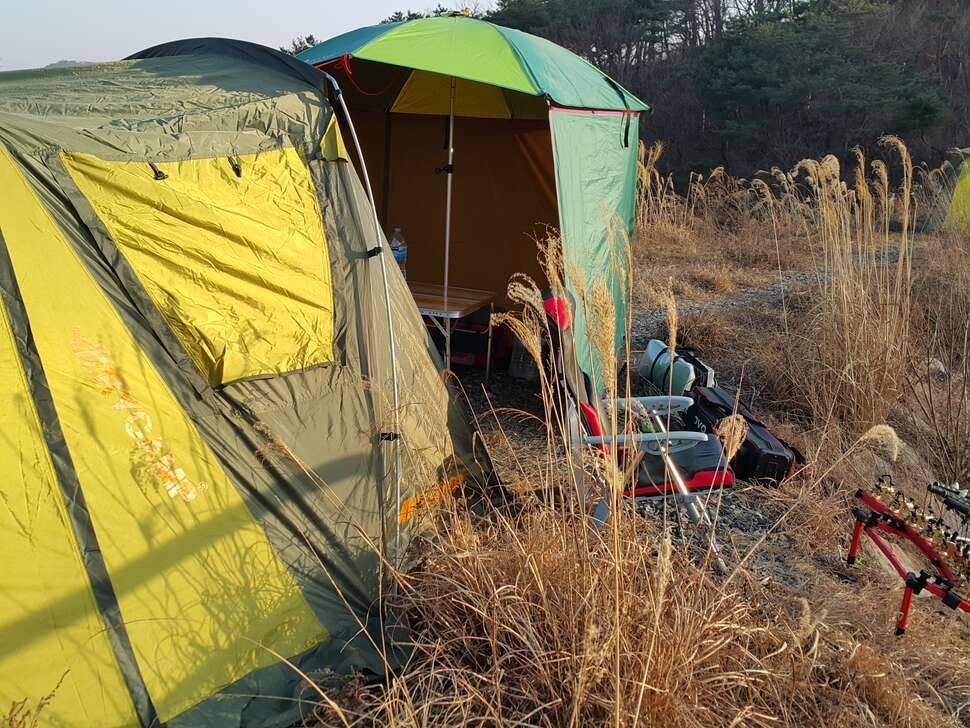 시조회ㅎ (커뮤니티 - 자유게시판)
