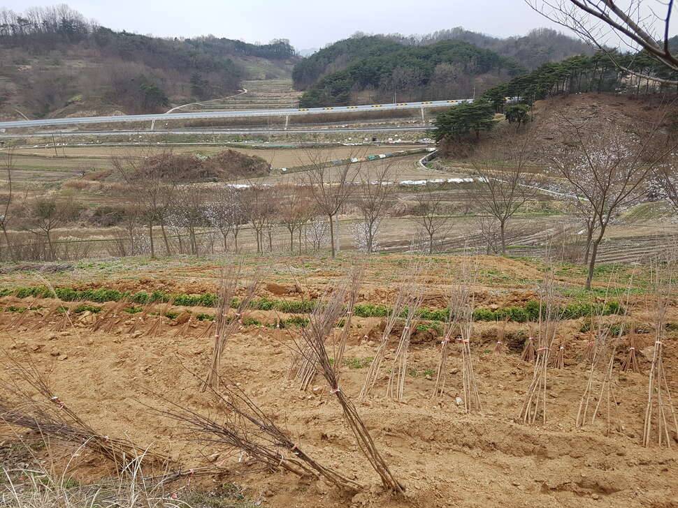 천치의 길 (커뮤니티 - 자유게시판)