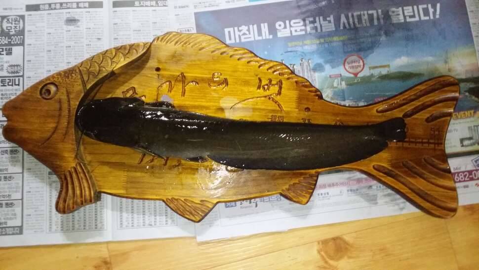 죄송합니다 오짜 입니다 (커뮤니티 - 자유게시판)
