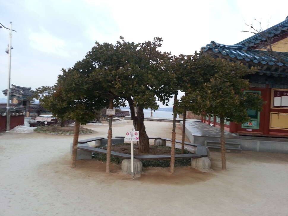 새해 복 많이 받으세요 (커뮤니티 - 자유게시판)