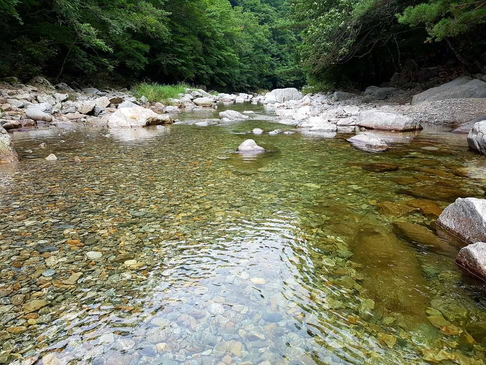 청산리 벽계수야 (커뮤니티 - 자유게시판)