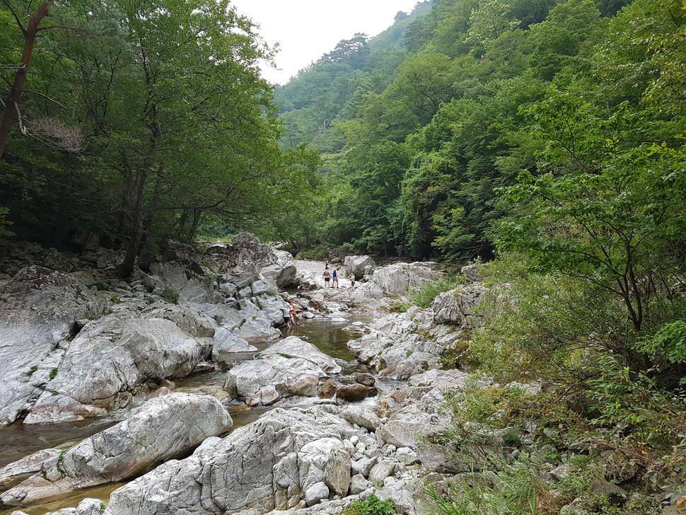 청산리 벽계수야 (커뮤니티 - 자유게시판)