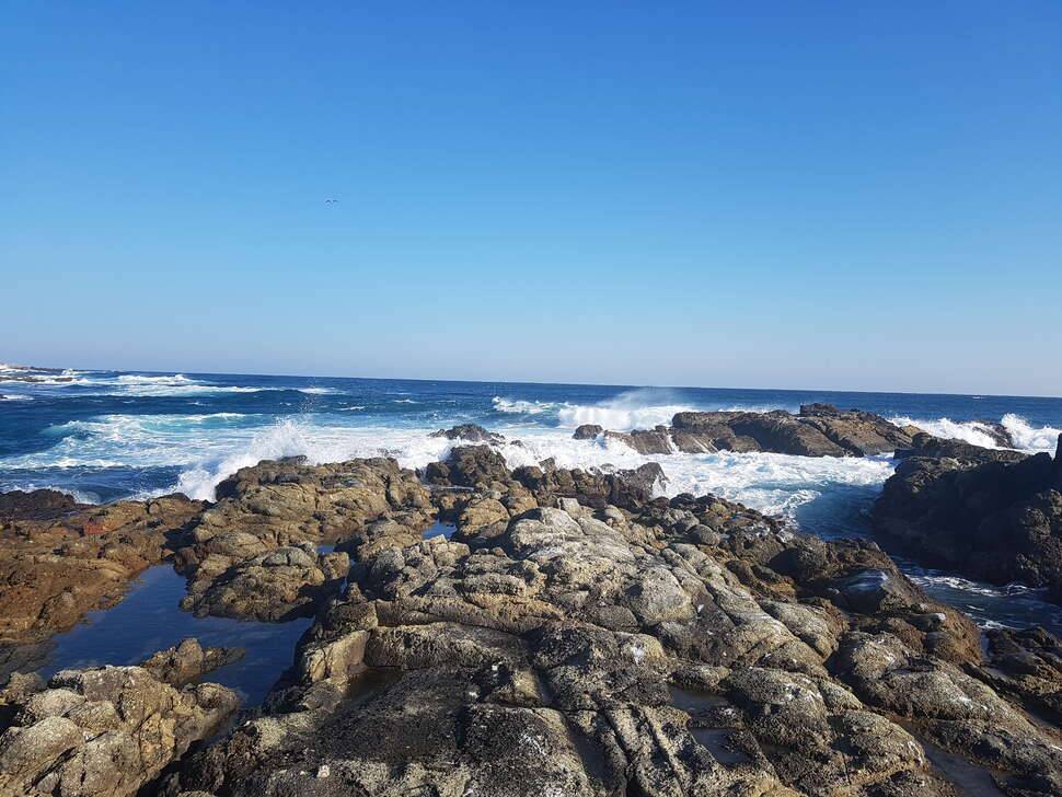 호미곶에왔는데 엄청 춥네요 (커뮤니티 - 자유게시판)