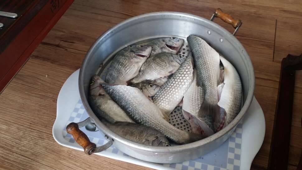 민물과 바다를 넘나드는 휴가3일차 (커뮤니티 - 자유게시판)
