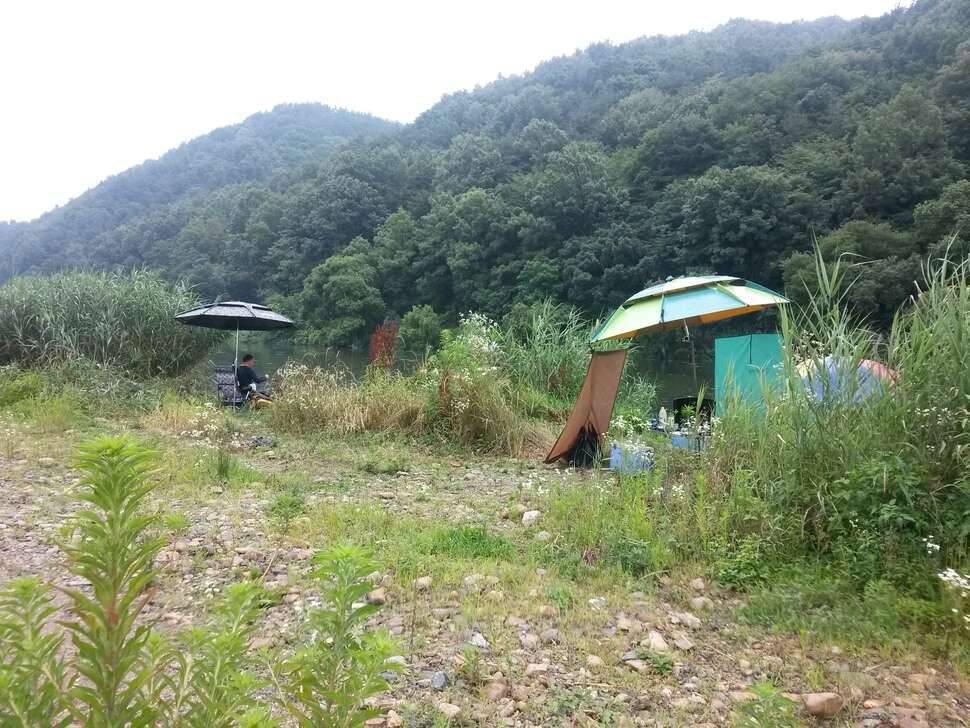 북에서 온 (커뮤니티 - 자유게시판)