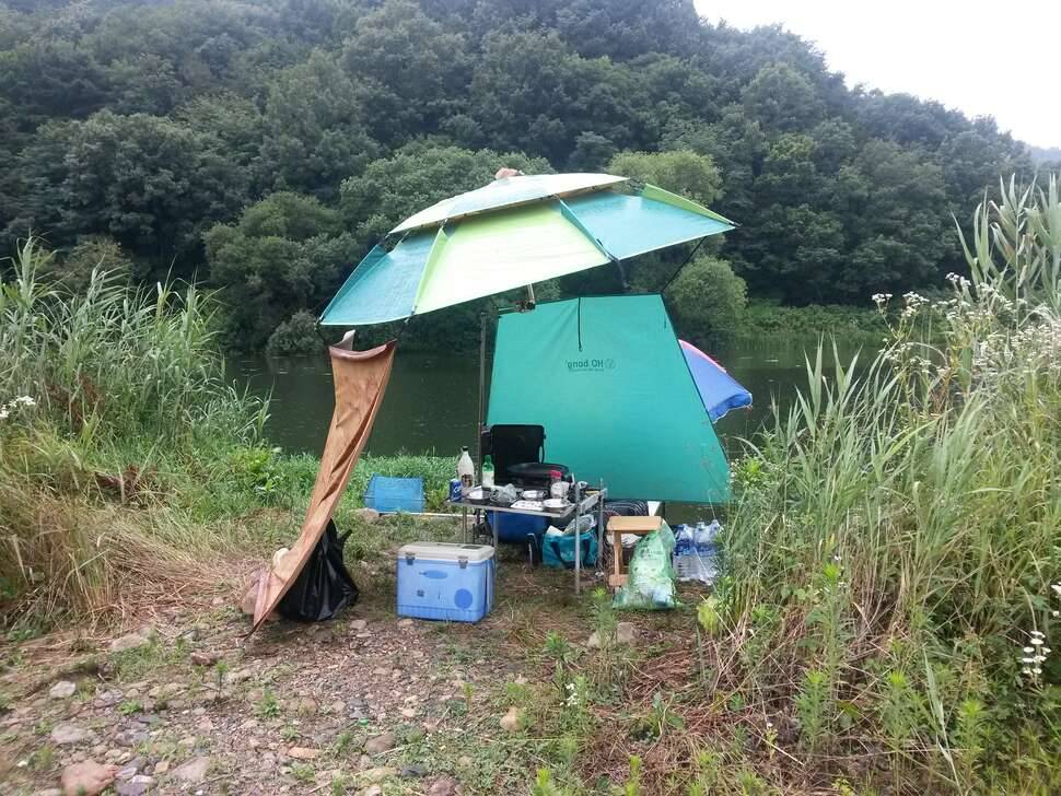 북에서 온 (커뮤니티 - 자유게시판)