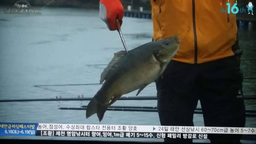 제눈에만 이상한가요 (커뮤니티 - 자유게시판)