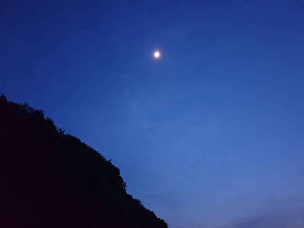 편한히 놀고 먹고 자고 왔습니다 (커뮤니티 - 자유게시판)