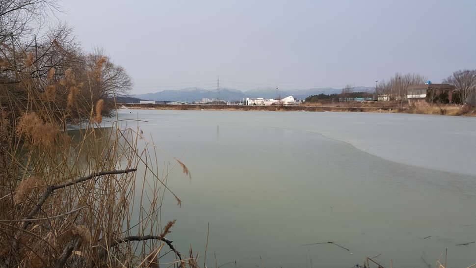 대창 내평지 입니다 (커뮤니티 - 자유게시판)