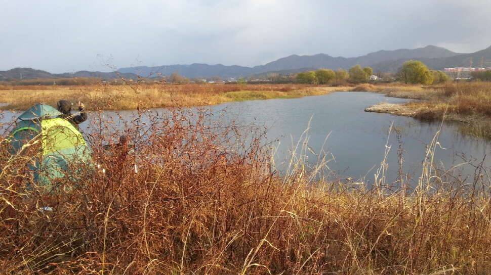 청 춘 (커뮤니티 - 자유게시판)