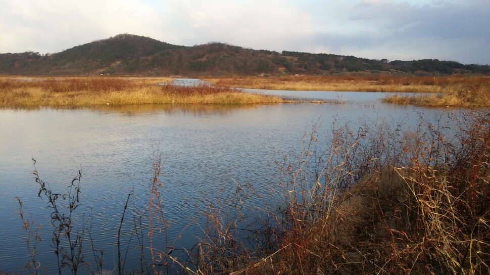 청 춘 (커뮤니티 - 자유게시판)