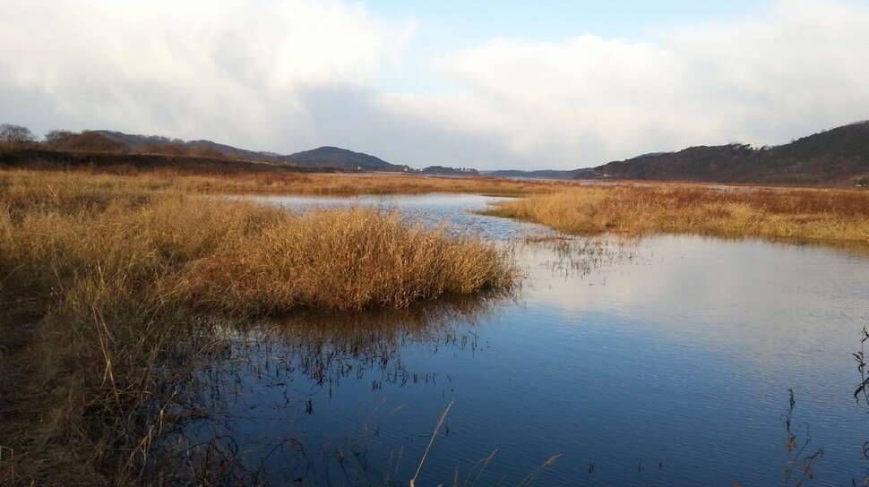 청 춘 (커뮤니티 - 자유게시판)