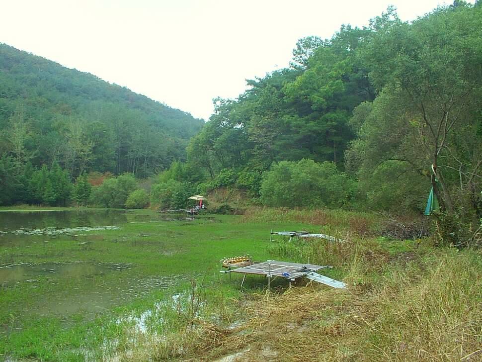 가을에 보리 수확를 (커뮤니티 - 자유게시판)