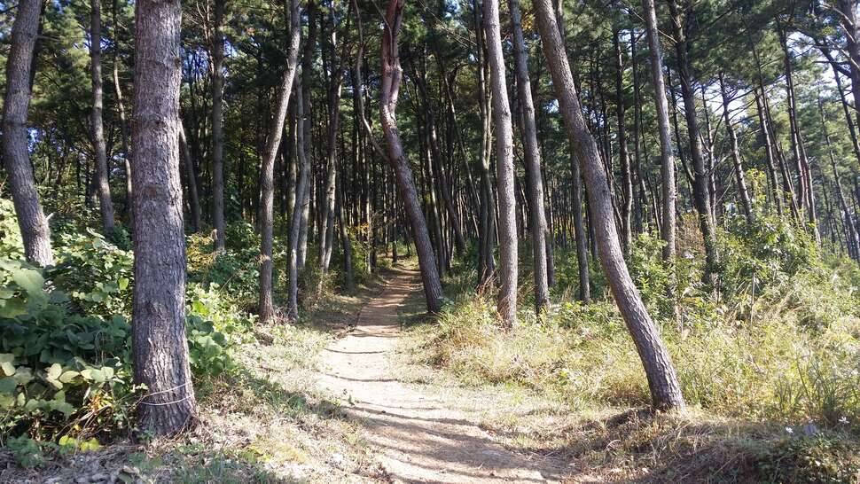 거제의 가을산 (커뮤니티 - 자유게시판)
