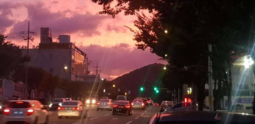 안부 (커뮤니티 - 자유게시판)