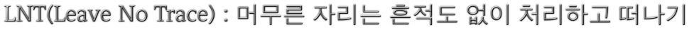 좋은 아침 LNT인증사진 기다립니다 (커뮤니티 - 자유게시판)