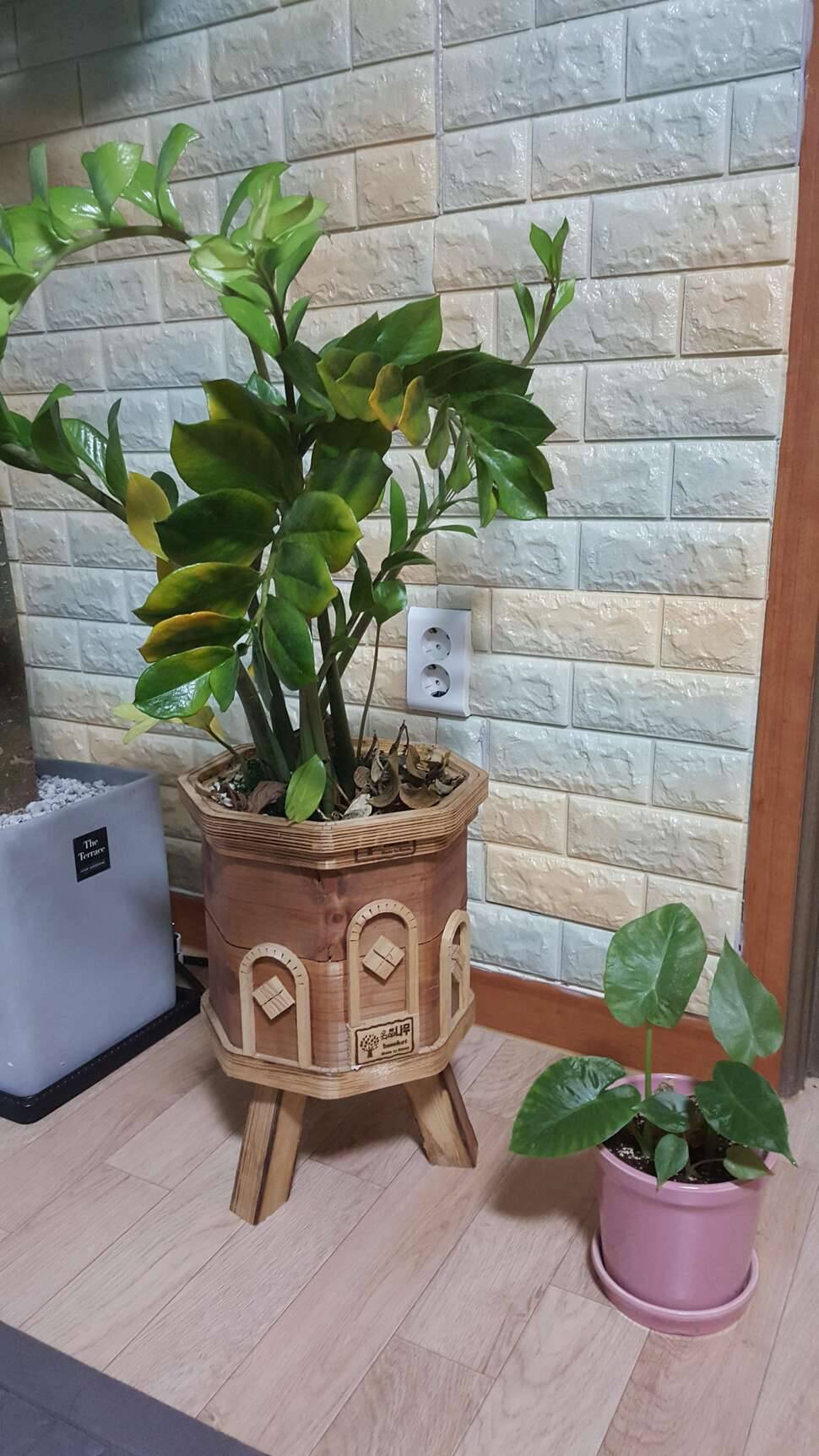 붕춤님 ㅡ질문쫌요 (커뮤니티 - 자유게시판)