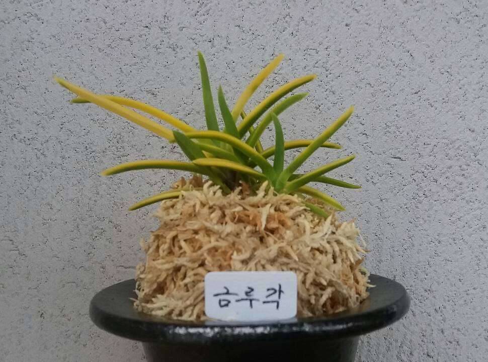 오늘은 (커뮤니티 - 자유게시판)