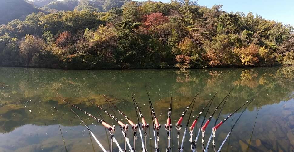 풍광좋은곳에서 힐링낚시 (커뮤니티 - 자유게시판)