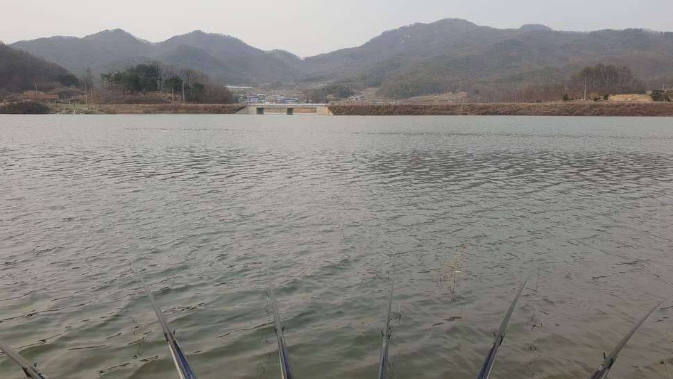 괜히 낚시를 잘해가꼬 (커뮤니티 - 자유게시판)