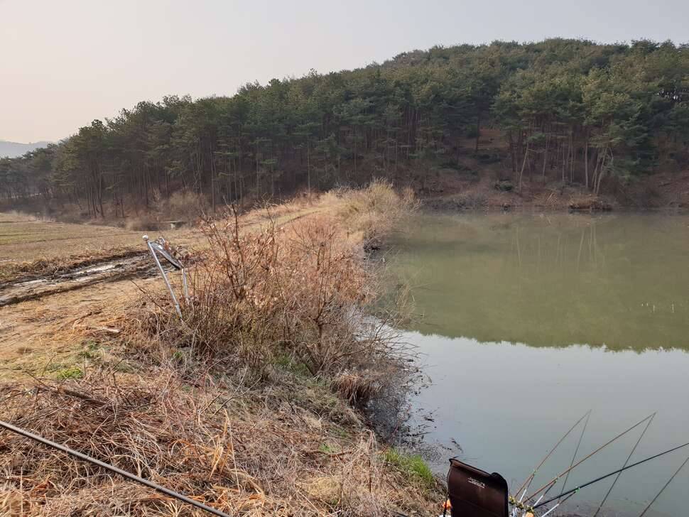 3월 LNT운동 인증사진 (커뮤니티 - 자유게시판)