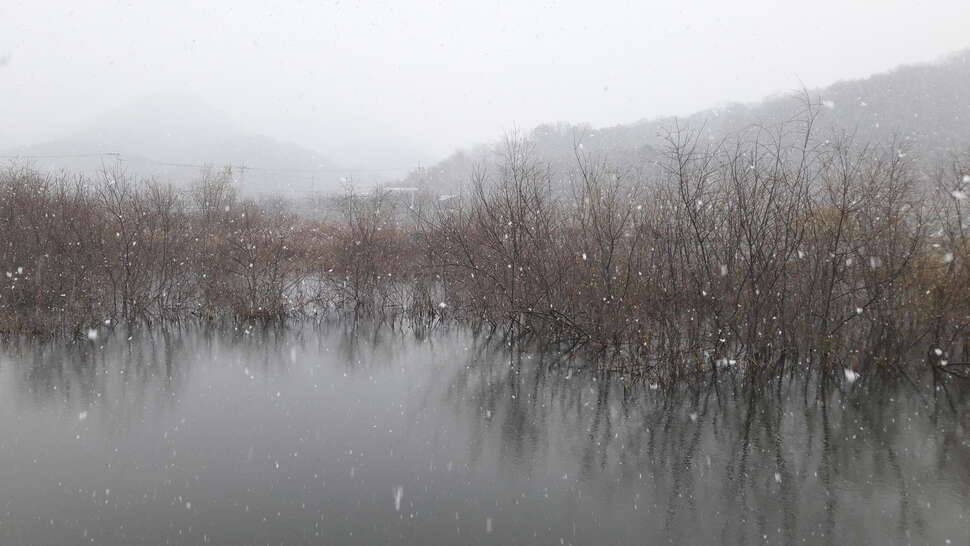 사기신고 괜히 했어요 (커뮤니티 - 자유게시판)