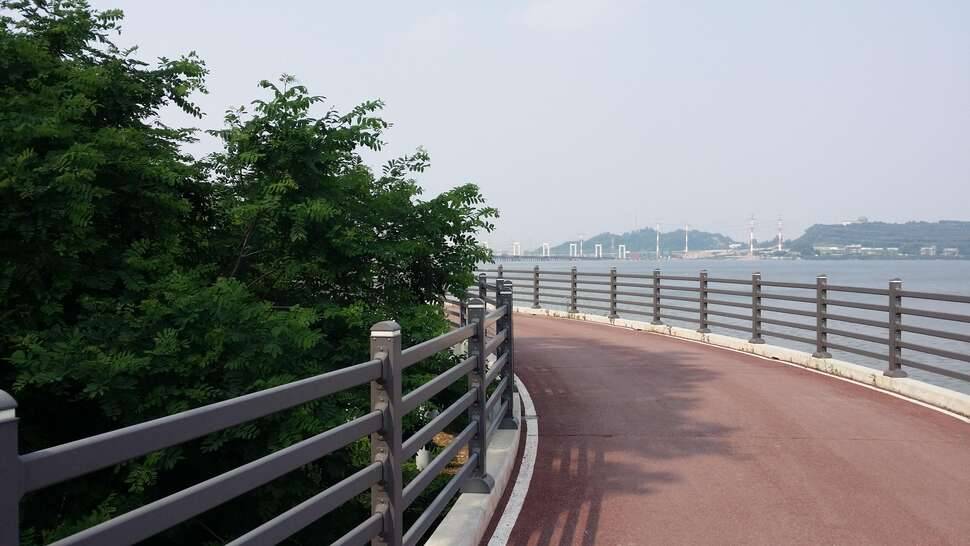 은행나무 아래 (커뮤니티 - 자유게시판)