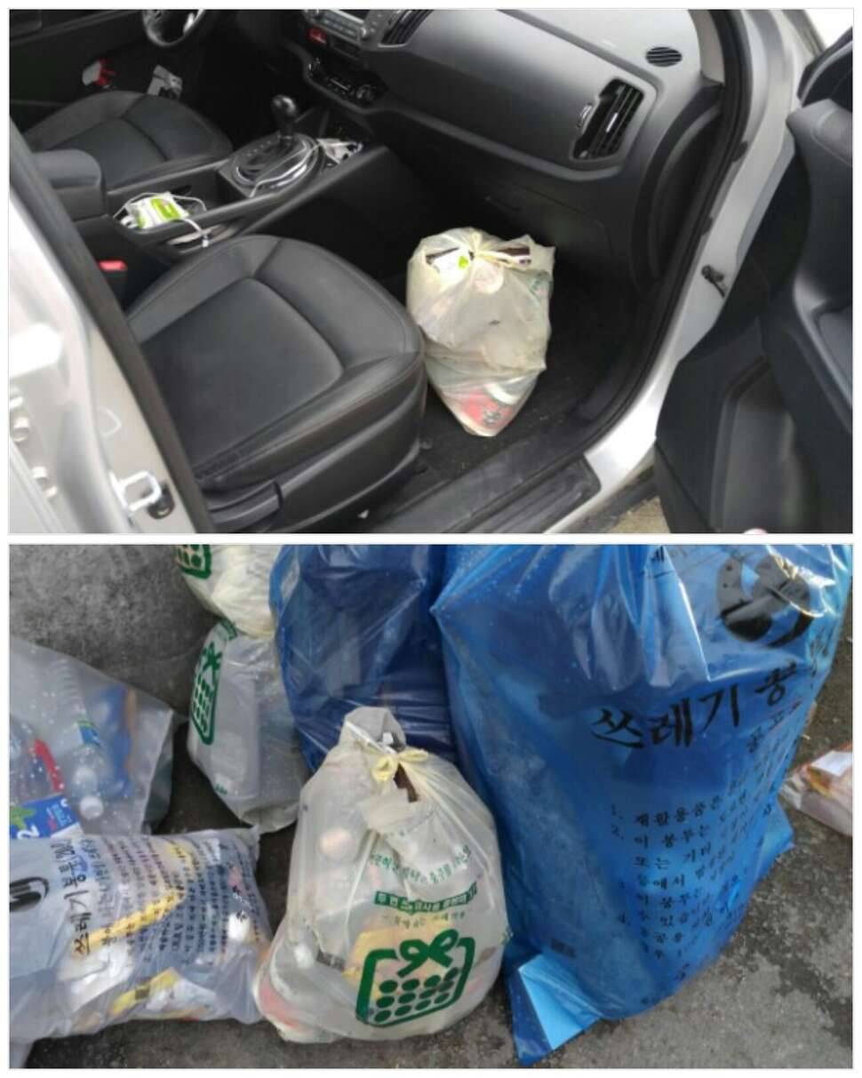 짬낚조과 5짜 인정 (커뮤니티 - 자유게시판)