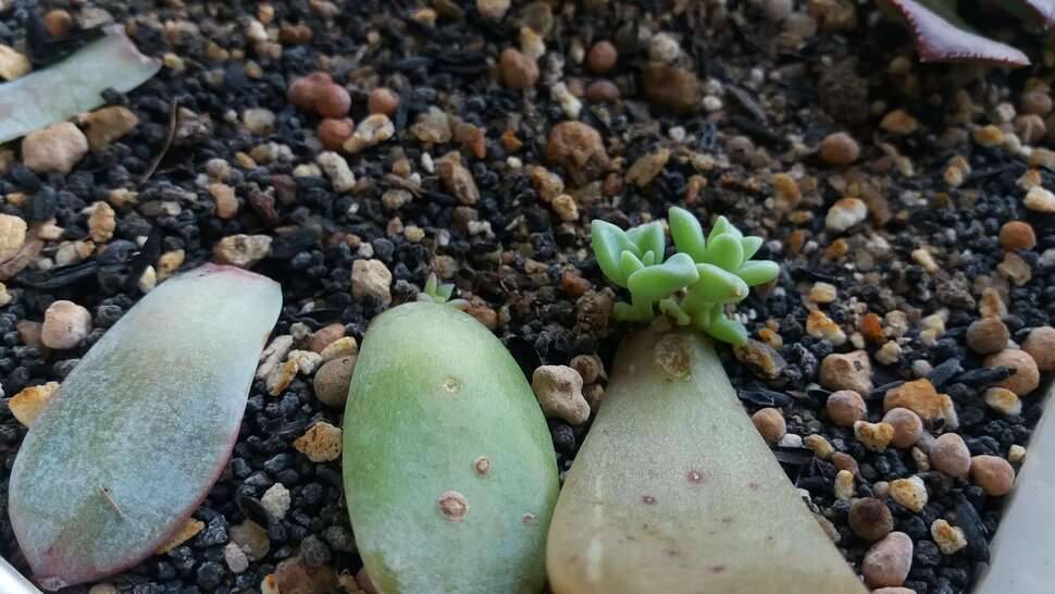 오늘은 욘석들과♡ (커뮤니티 - 자유게시판)