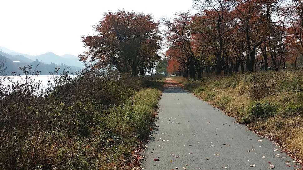 낚시차 추천좀 해주세요 (커뮤니티 - 자유게시판)