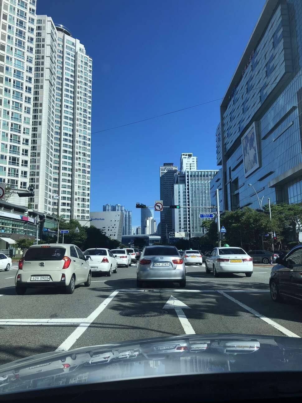 오늘은부산행 (커뮤니티 - 자유게시판)