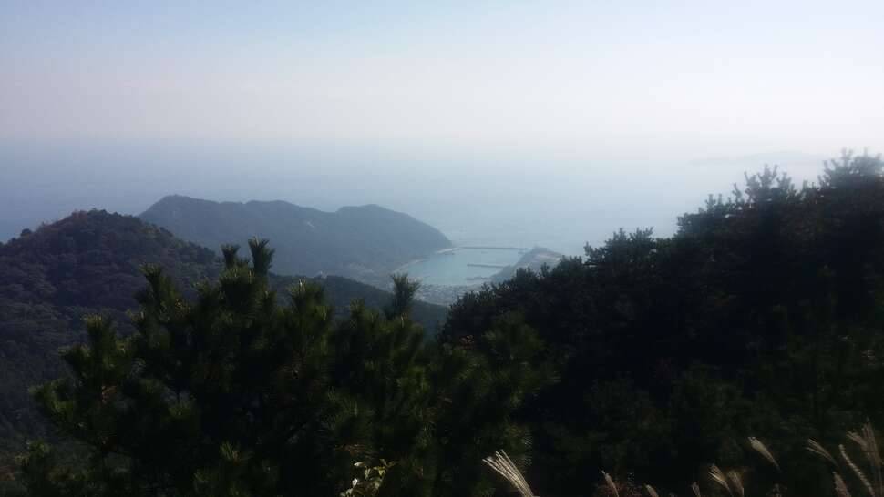 거제의 가을산 (커뮤니티 - 자유게시판)