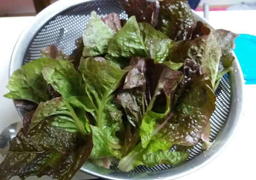 삥 뜯기고 가세가 기울어흑 (커뮤니티 - 자유게시판)