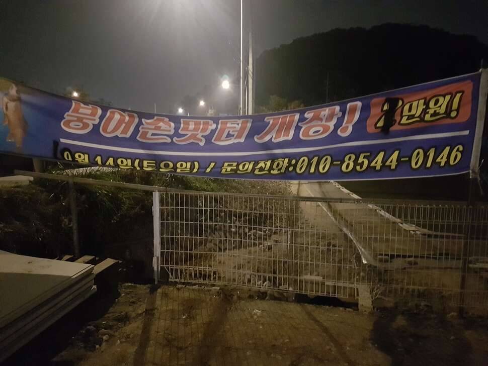 서울인근 손맛 낚시터 추천해드립니다 (커뮤니티 - 자유게시판)