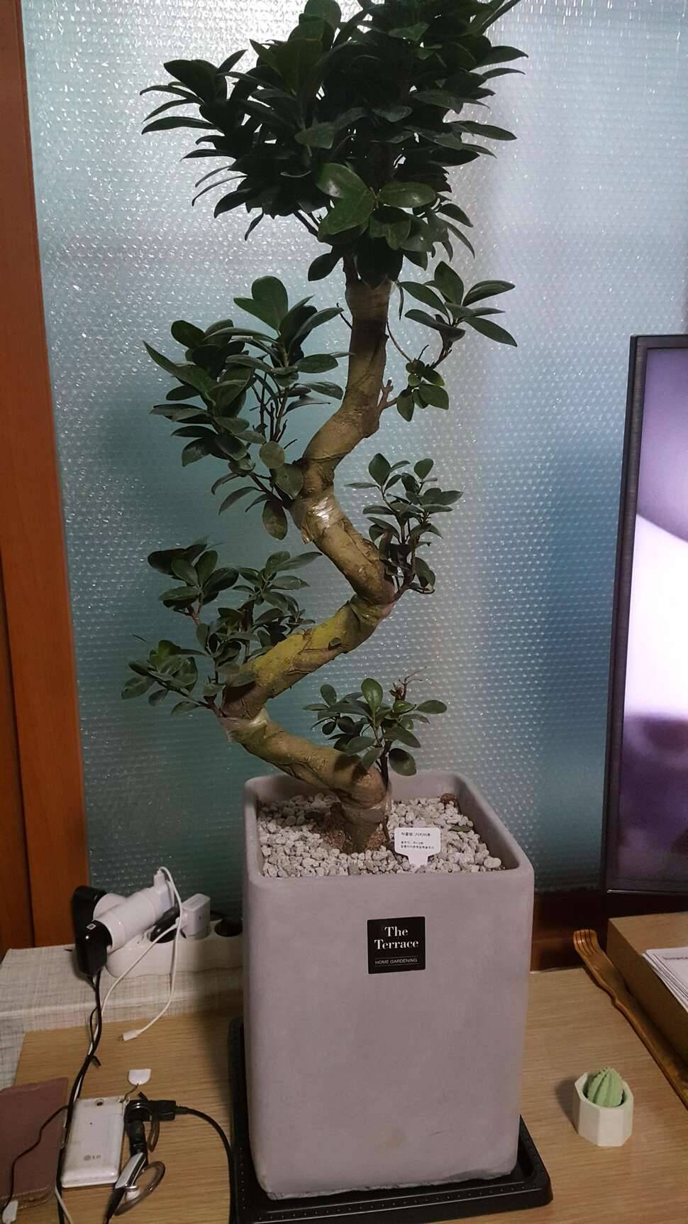 붕춤님 ㅡ질문쫌요 (커뮤니티 - 자유게시판)