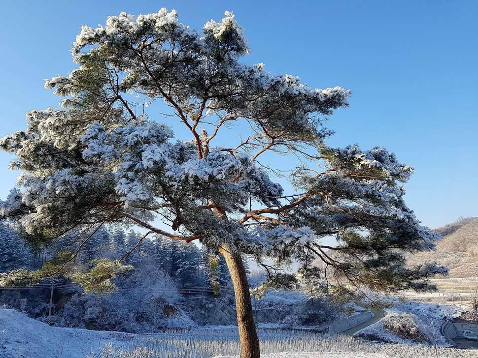 봄에서 겨울로ㅡㅡ (커뮤니티 - 자유게시판)